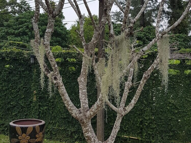 Hotel Baan Chai Lay Apartment