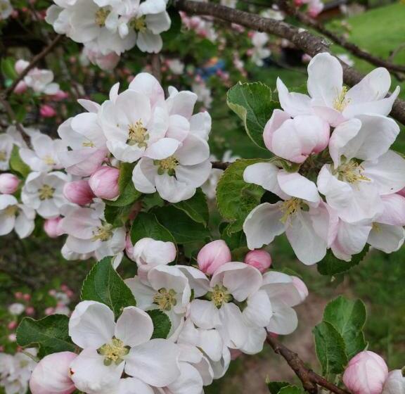 민박 Gościniec Zagaje