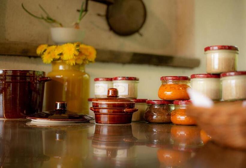 민박 Gościniec Zagaje