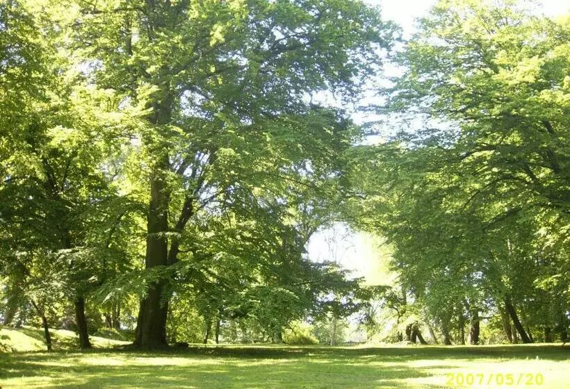 Aamiaismajoitus (B&B) Zamek Rynkówka