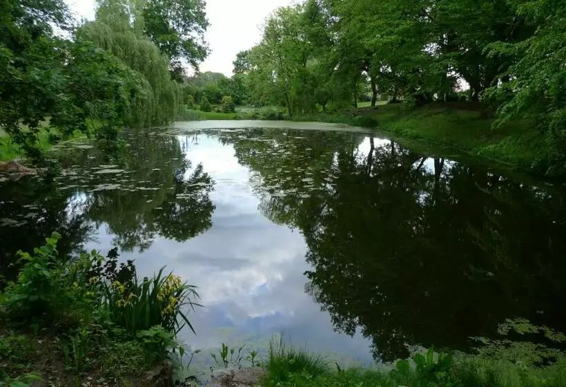 Aamiaismajoitus (B&B) Zamek Rynkówka