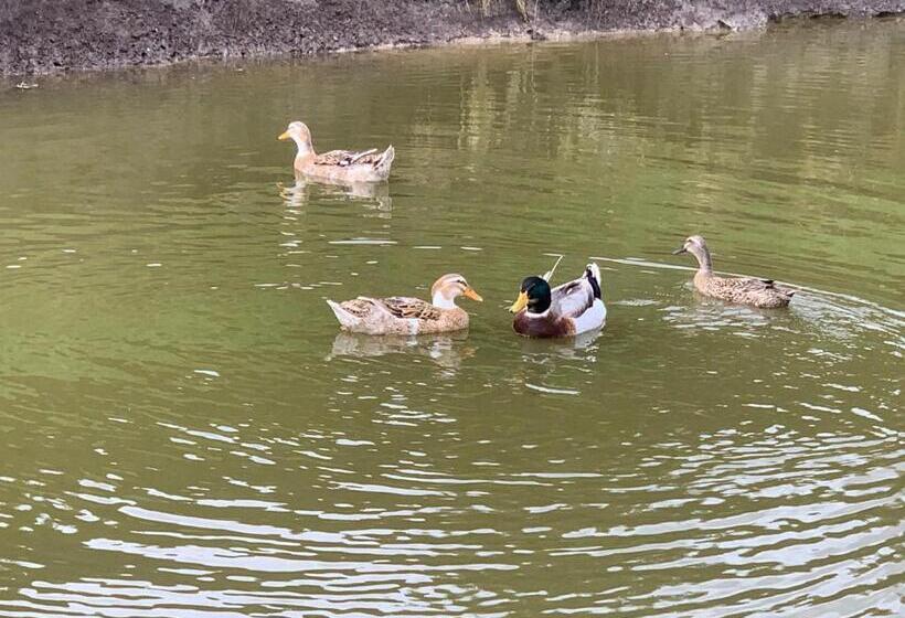 فندق Agro Na Wapniarni