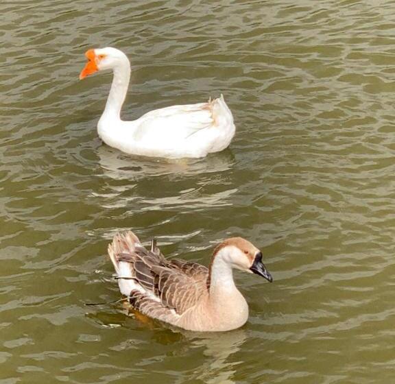 فندق Agro Na Wapniarni