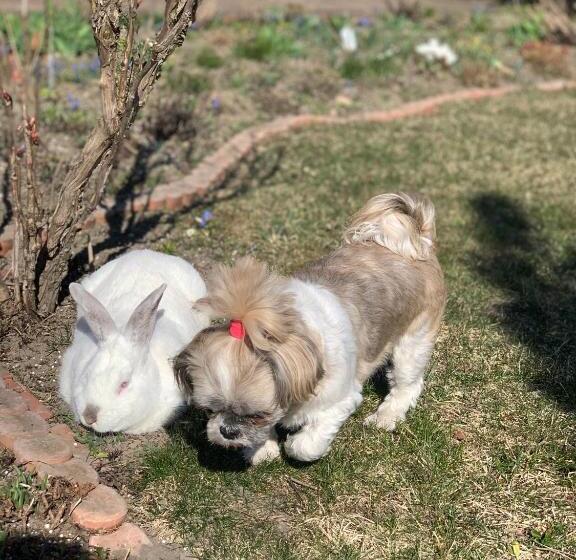 فندق Agro Na Wapniarni