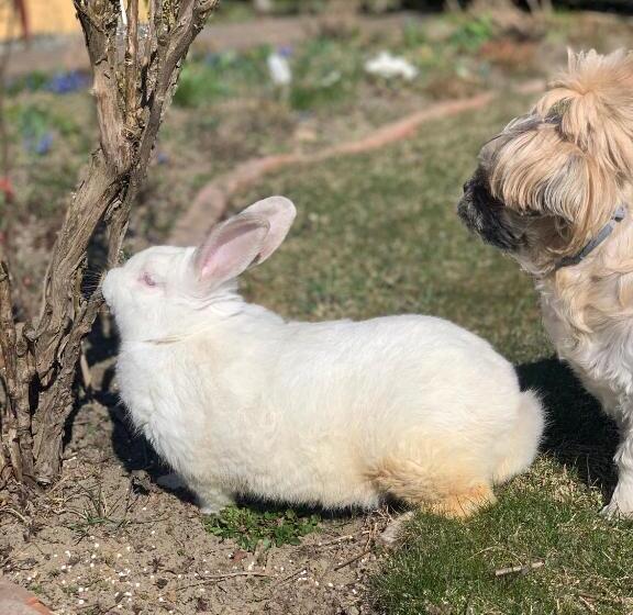 فندق Agro Na Wapniarni