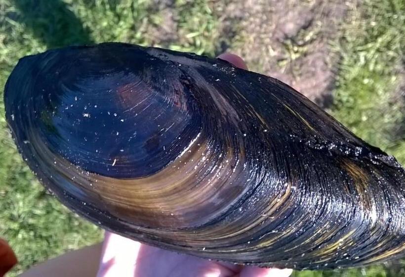 호텔 Bębnikąt Osada Leśna Puszcza Notecka