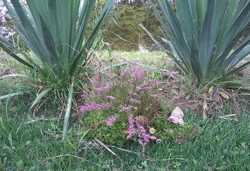 호텔 Bębnikąt Osada Leśna Puszcza Notecka