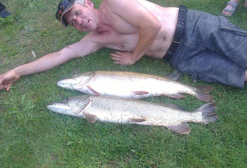 호텔 Bębnikąt Osada Leśna Puszcza Notecka