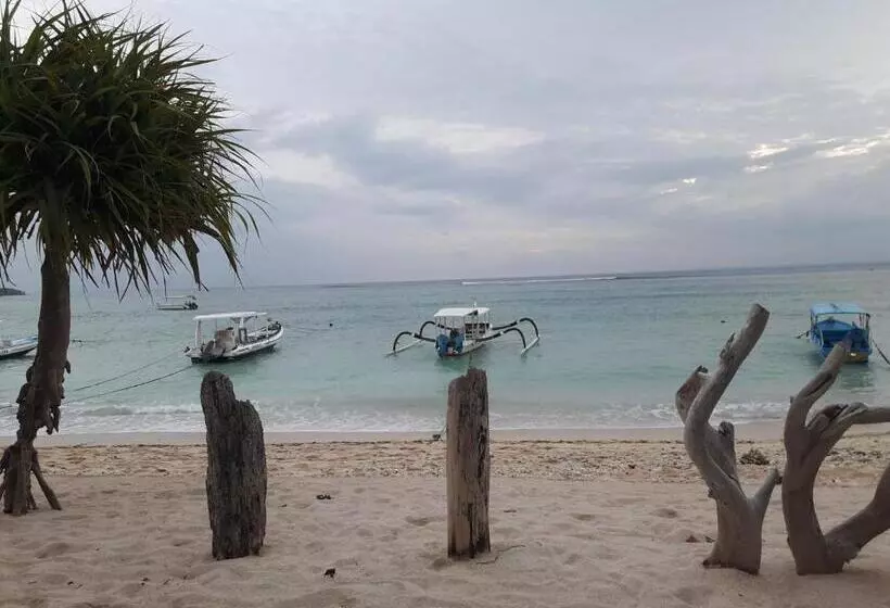 ホテル Agung Lembongan Bungalow