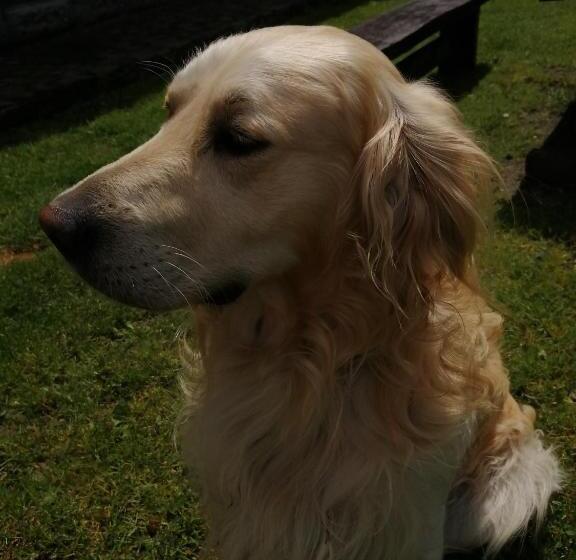 بنسيون Gościniec W Starym Młynie