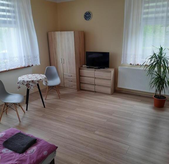 بنسيون Gościniec W Starym Młynie