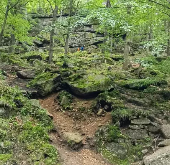 Aamiaismajoitus (B&B) Ośrodek Wypoczynkowy Nad Wodospadem