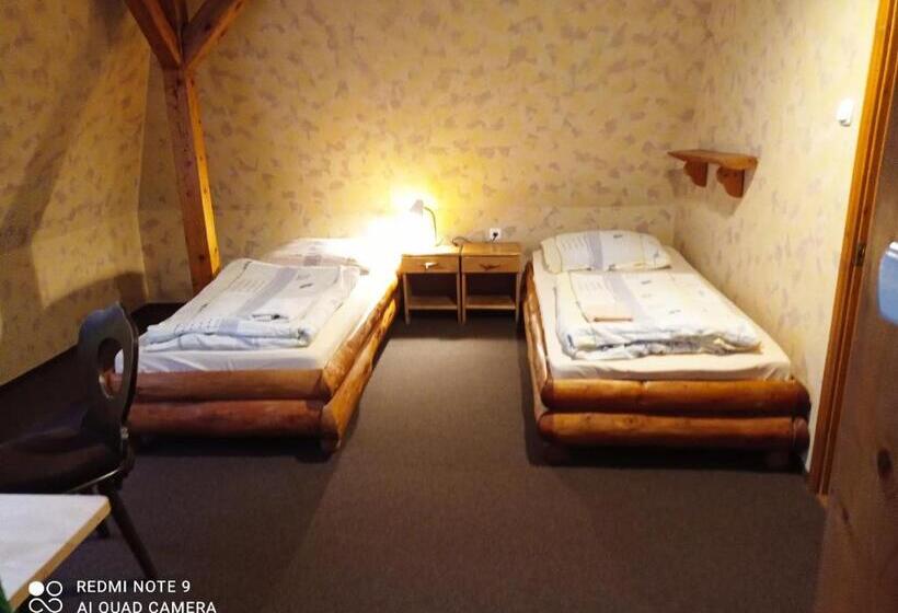 ホテル Agroturystyka Ziemowit Karkonosze