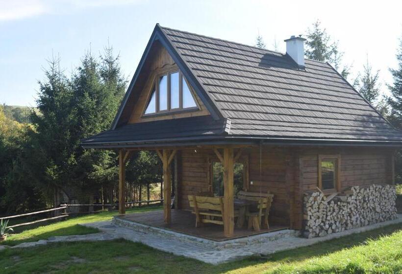 호텔 Apartamenty Pod Werchowyną