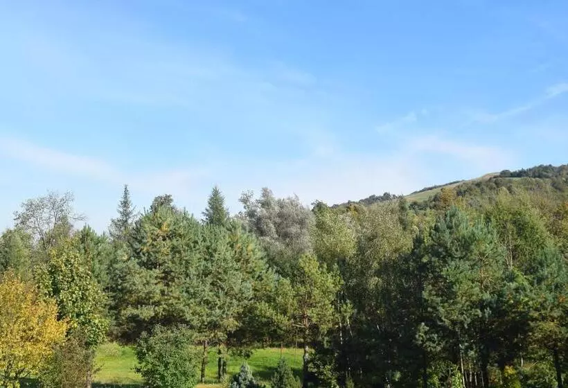 Hotelli Apartamenty Pod Werchowyną