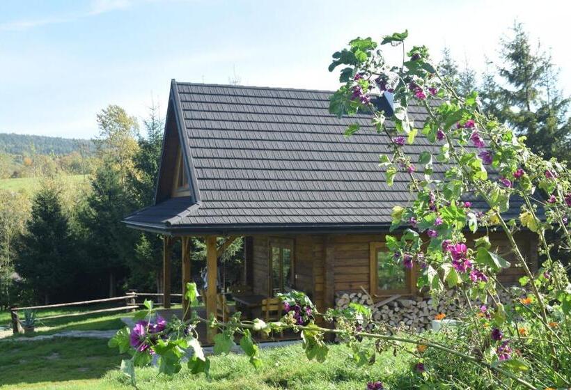 호텔 Apartamenty Pod Werchowyną