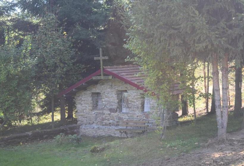 호텔 Apartamenty Pod Werchowyną