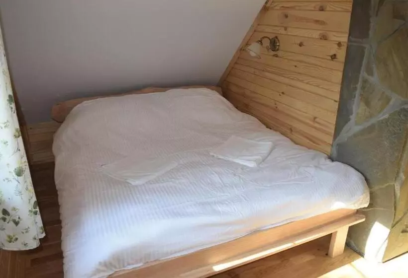 Hotelli Apartamenty Pod Werchowyną