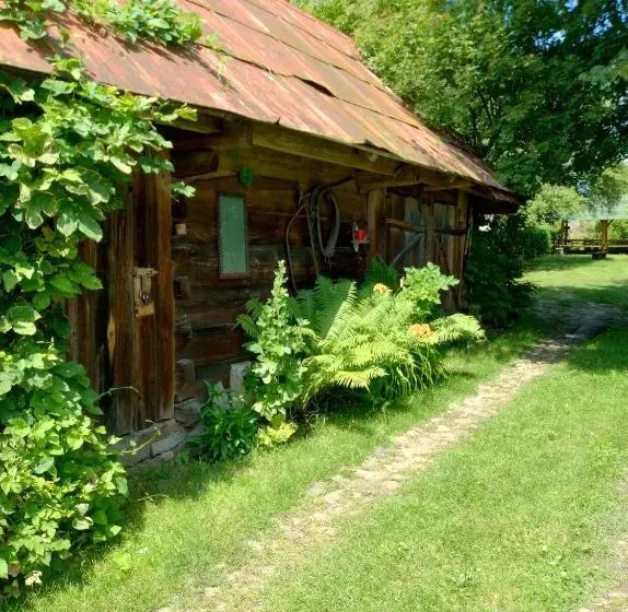 ホテル Dom Słoneczko Pokoje Do Wynajęcia W Białowieży