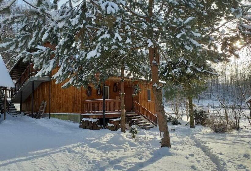 בית מלון כפרי świerkowe Rancho