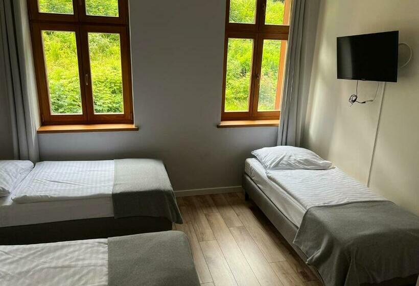 فندق Willa Góralka