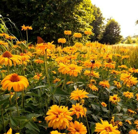 Hotel Zacisze Na Roztoczu