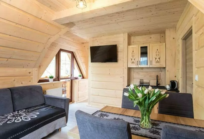 ペンション Willa Modrzejówka