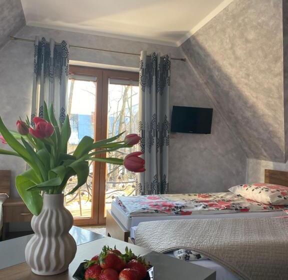 פנסיון Witowiański Dworek