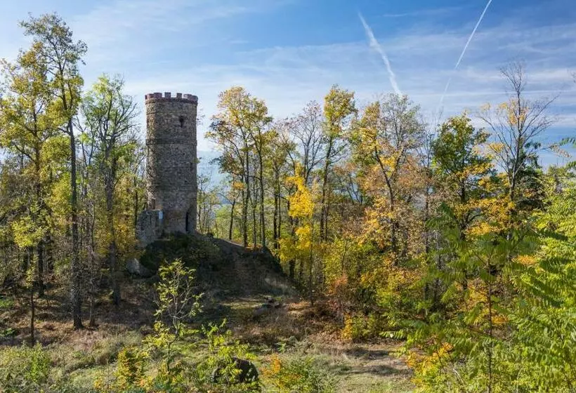 Aamiaismajoitus (B&B) Pokoje Bukowiec Folwark I Park
