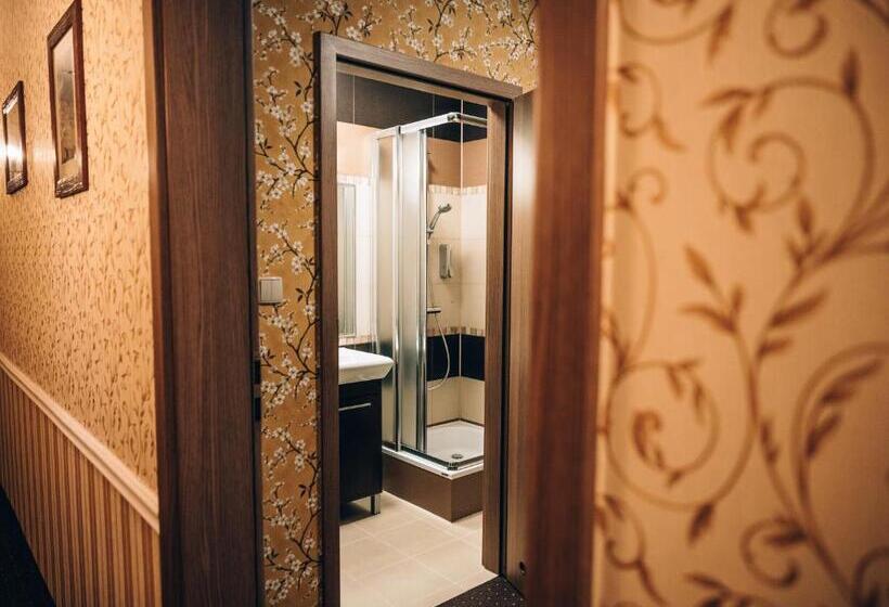 צימר Willa Skalniak