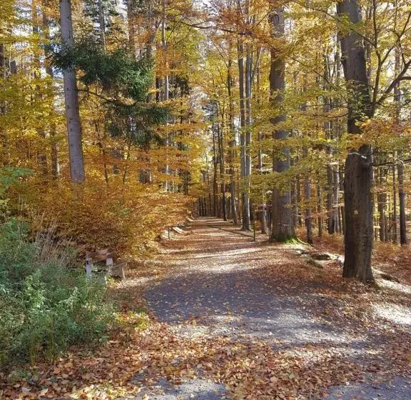 Aamiaismajoitus (B&B) Willa Skalniak