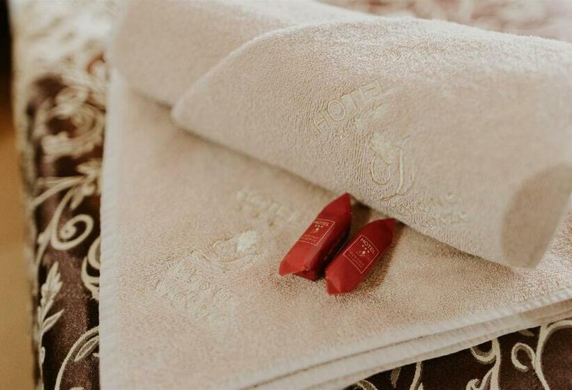 فندق Dębowe Wzgórze Wellness & Spa