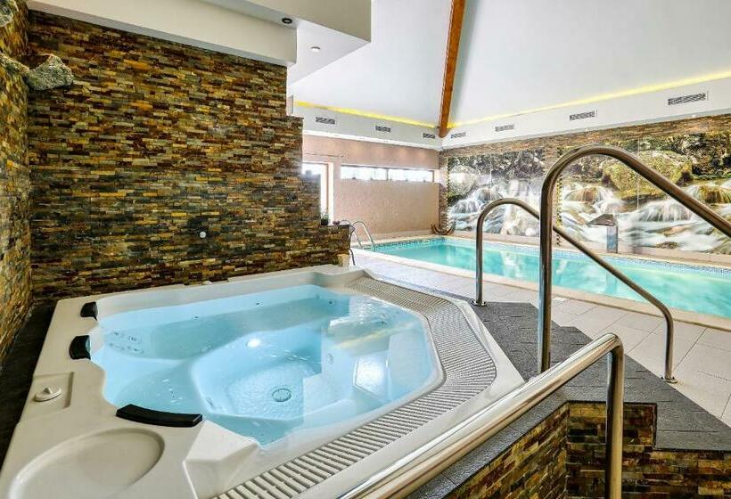 فندق Dębowe Wzgórze Wellness & Spa