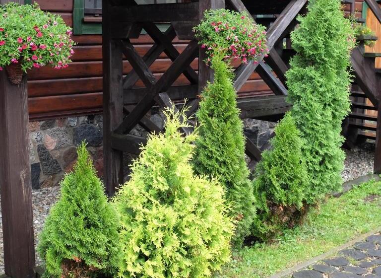 בית מלון כפרי Gościniec Figlówka