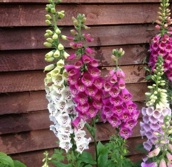 Hotell Gospodarstwo Agroturystyczne Kozłowiec