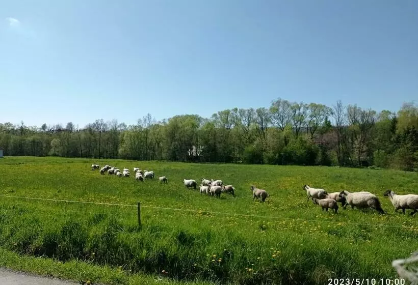 ホテル Gospodarstwo Agroturystyczne U Stasików