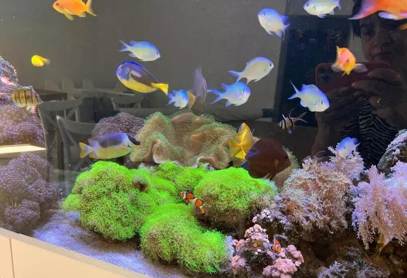 Hotelli Magiczny Zakątek