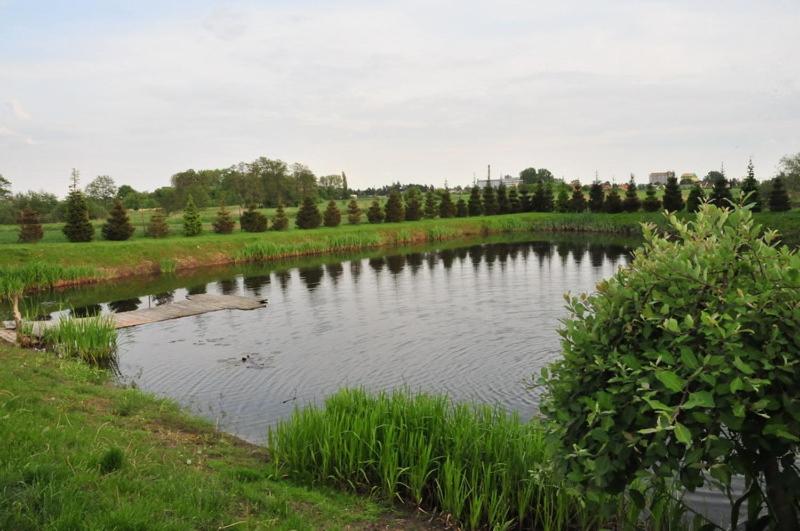 酒店 Marco Płońsk Szkolna 115