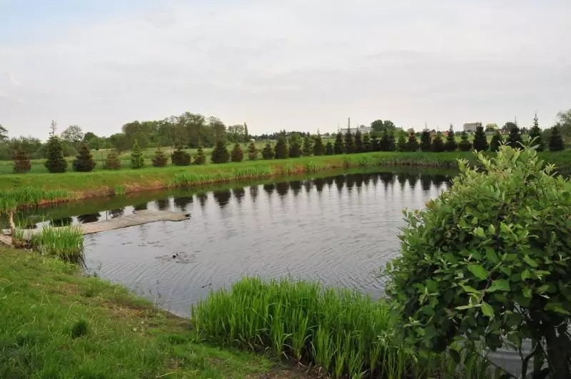 ホテル Marco Płońsk Szkolna 115