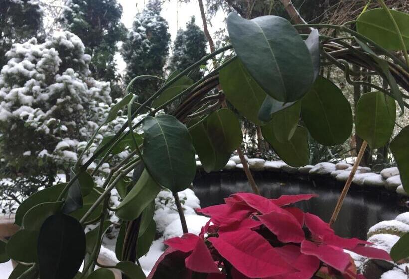 בית מלון כפרי Panorama Bh