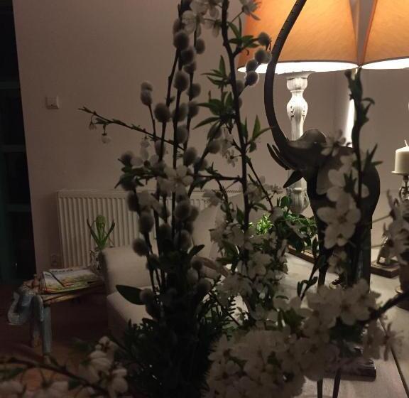 בית מלון כפרי Panorama Bh