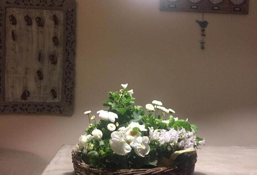 בית מלון כפרי Panorama Bh