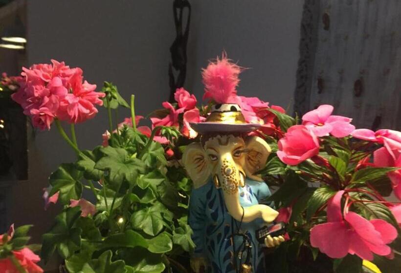 בית מלון כפרי Panorama Bh