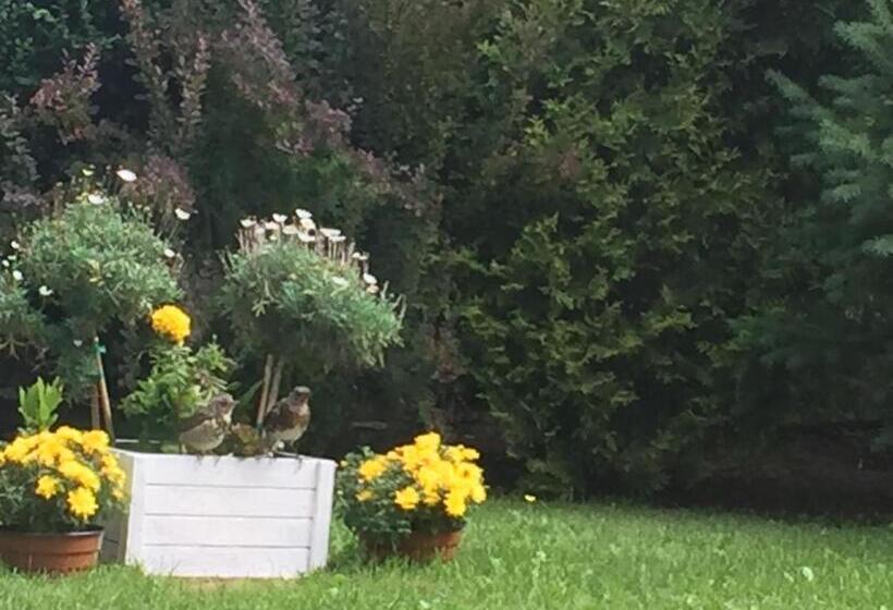 בית מלון כפרי Panorama Bh