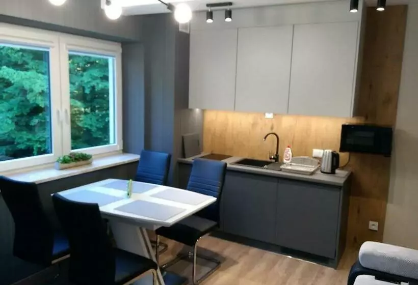 Kurort Kozubnik Apartament 33 Wellness &spa