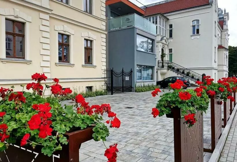 Paderewskiego 9 Aparth