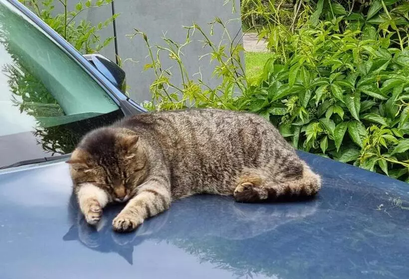 Majatalo Przystanek Podgórze