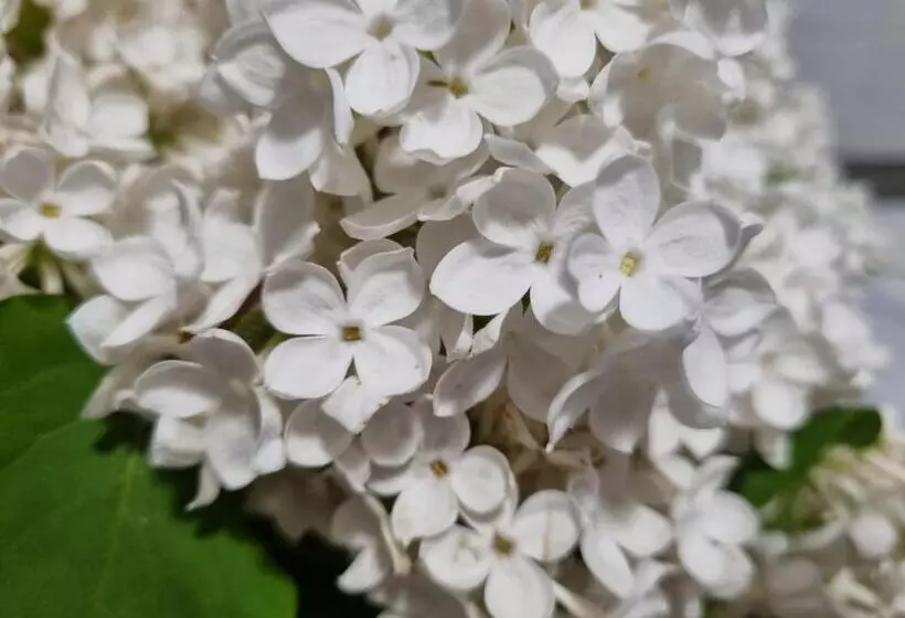 Majatalo Przystanek Podgórze