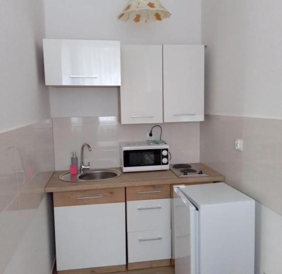 Panzió Willa Halusia