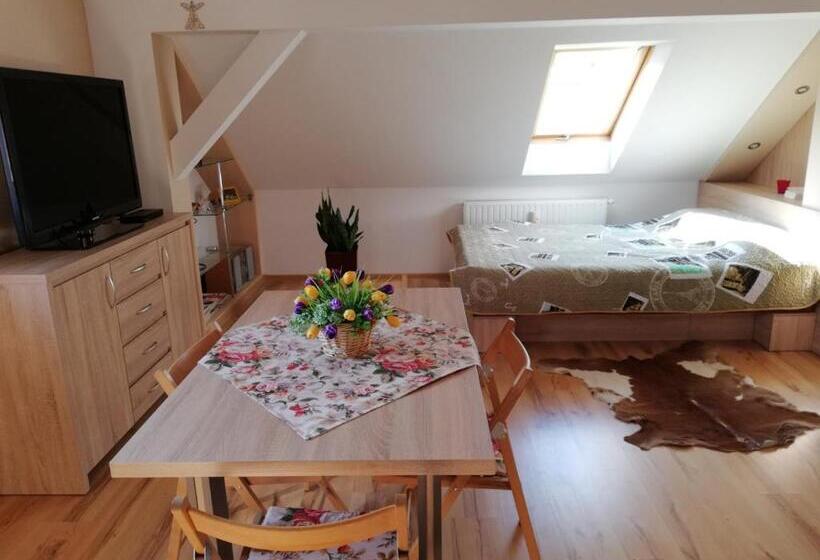 פנסיון Willa Kalina